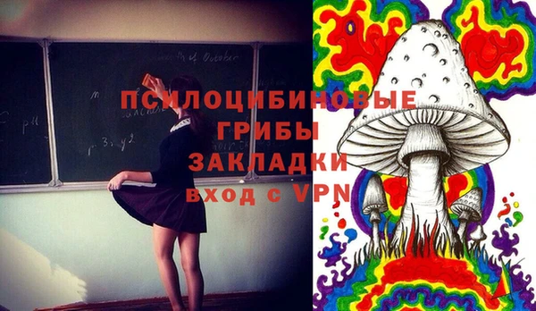 герыч Алексин