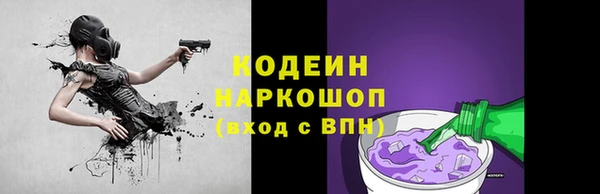 соль ск Алзамай