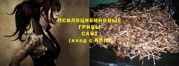 соль ск Алзамай