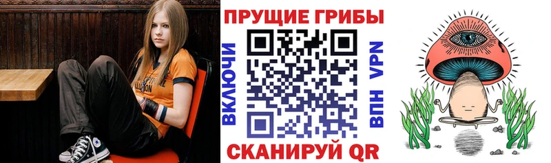 Галлюциногенные грибы мухоморы что такое Михайловск